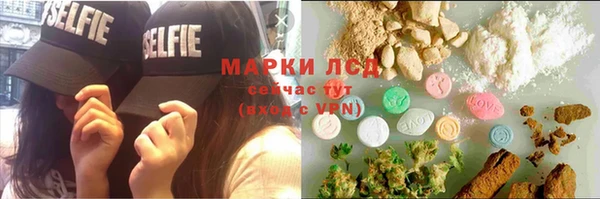 прущие грибы Богородск