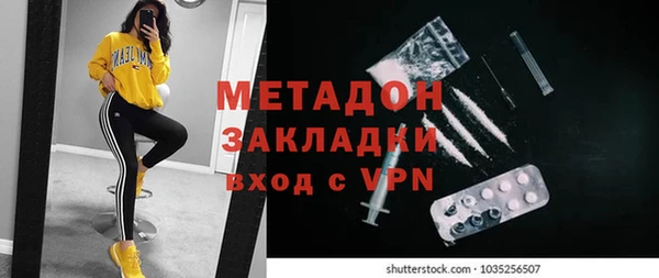 прущие грибы Богородск