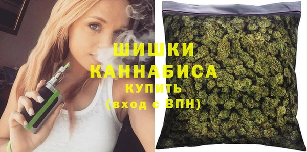 прущие грибы Богородск