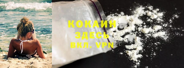 прущие грибы Богородск