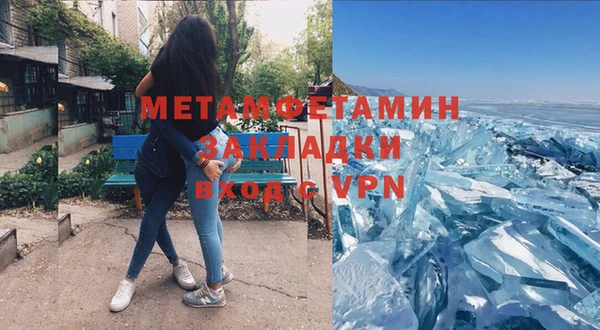прущие грибы Богородск
